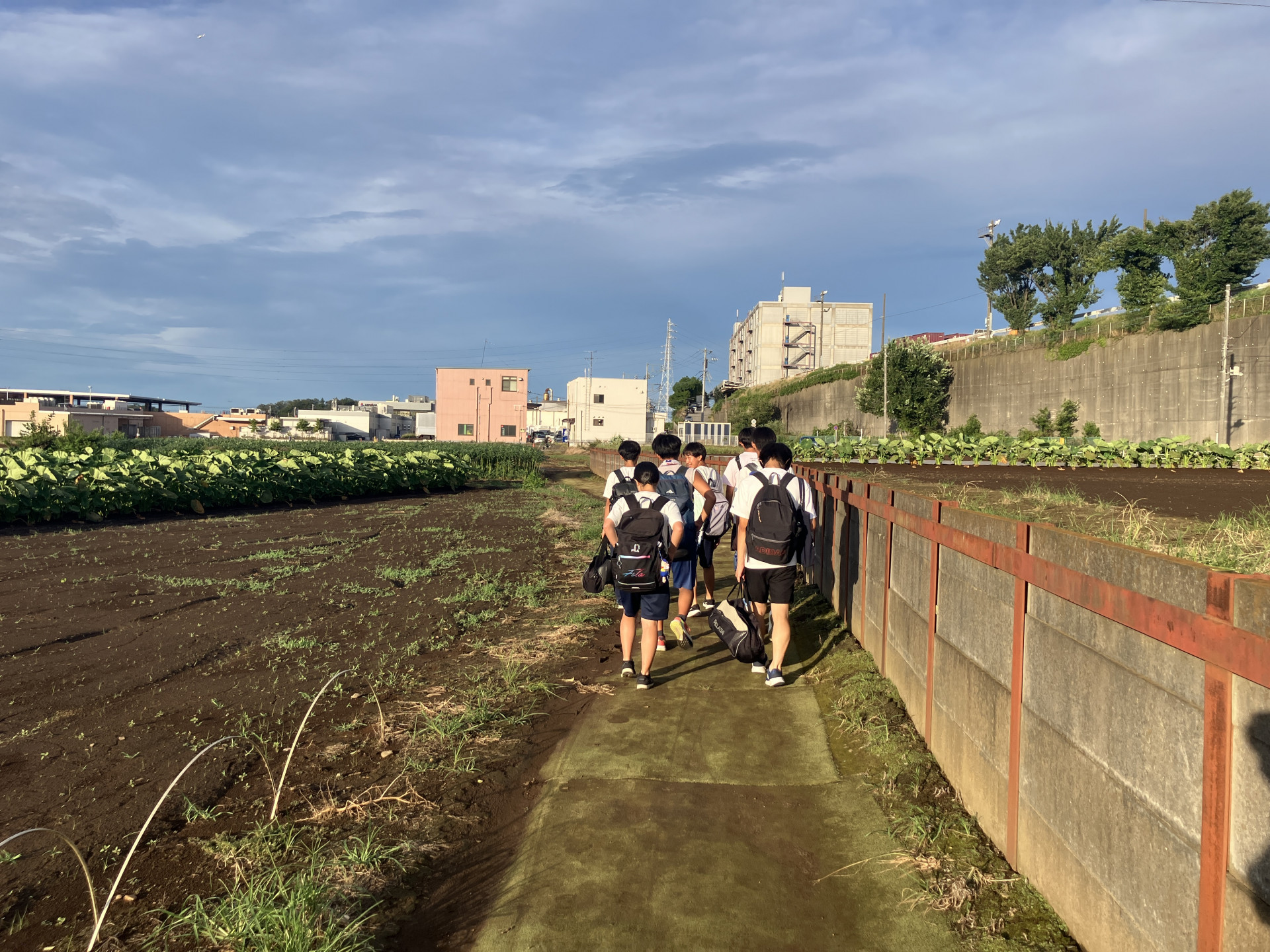 画像 -20240724-084632-c3d92832